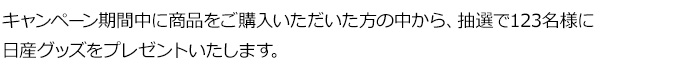 キャンペーン期間中に商品をご購入いただいた方の中から、抽選で123名様に日産グッズをプレゼントいたします。