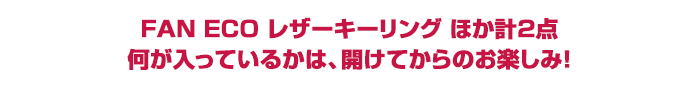 FAN ECO レザーキーリング ほか計2点 何が入っているかは、開けてからのお楽しみ!