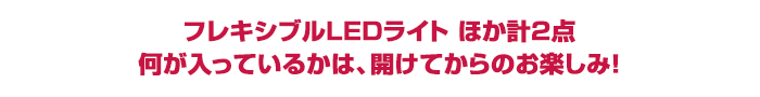 フレキシブルLEDライト ほか計2点 何が入っているかは、開けてからのお楽しみ!