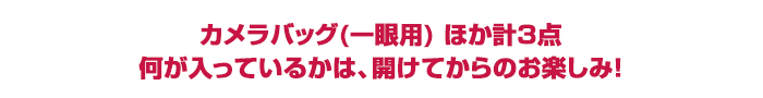 カメラバッグ(一眼用) ほか計3点 何が入っているかは、開けてからのお楽しみ!
